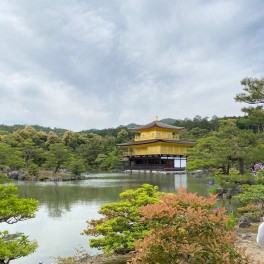 京都へ行ってきました！